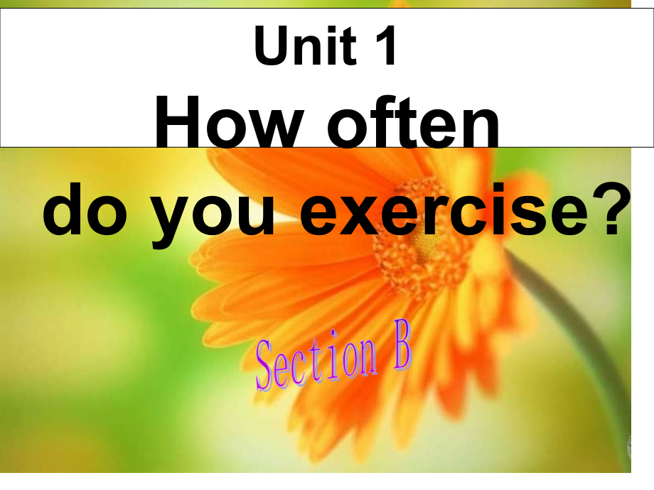 八年级英语上学期sectionb2省公开课获奖课件市赛课比赛一等奖课件.pptx_第1页