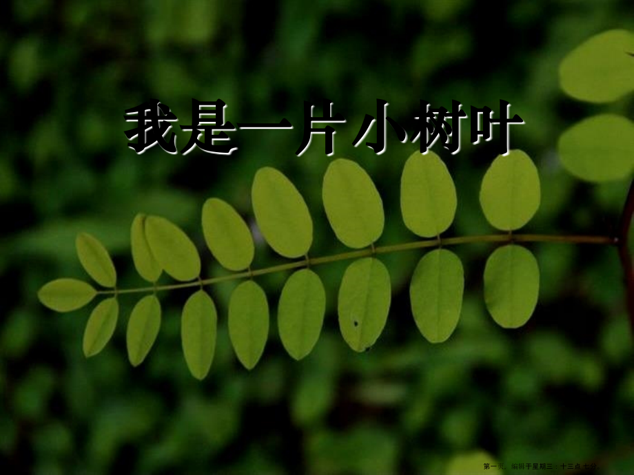 2022春湘教版语文三下《我是一片小树叶》ppt课件.ppt_第1页