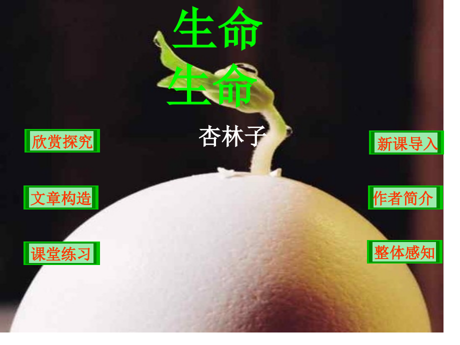 初一语文生命生命4省公开课获奖课件市赛课比赛一等奖课件.pptx_第1页