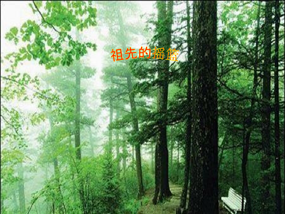 2022春湘教版语文二上《祖先的摇篮》ppt课件4.ppt_第1页
