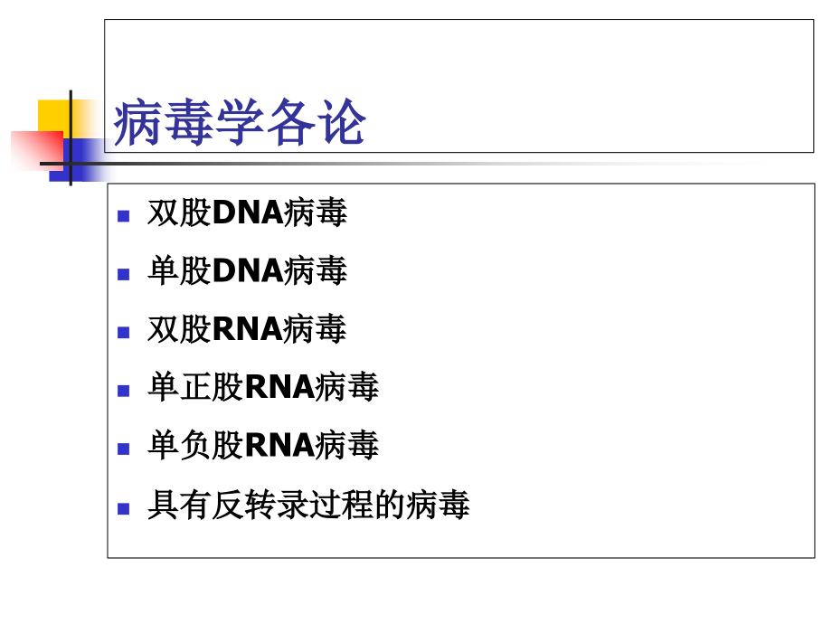 双股DNA病毒.ppt_第1页