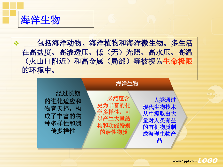 海洋生物开发产业.ppt_第2页