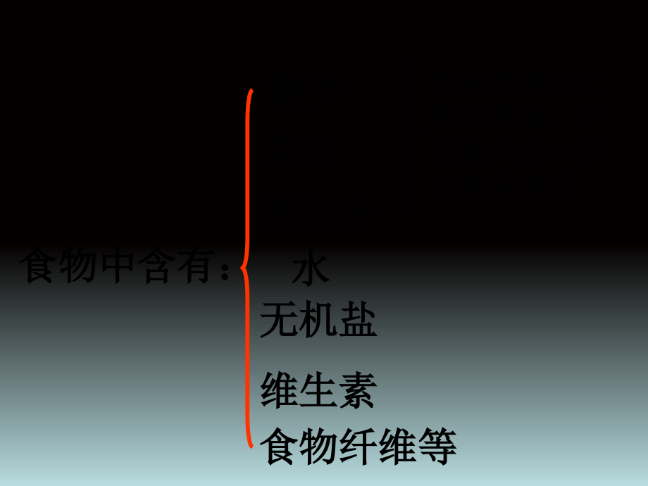 浙教版九下科学-第四章复习资料(自制).ppt_第1页