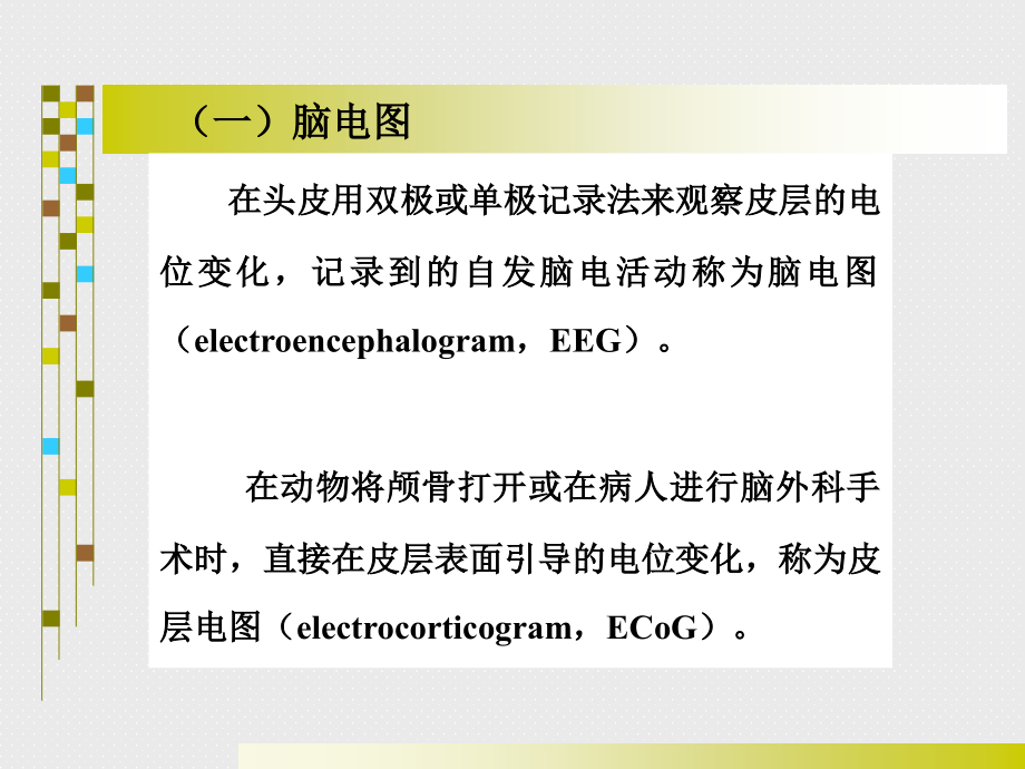 神经生理09.ppt_第1页