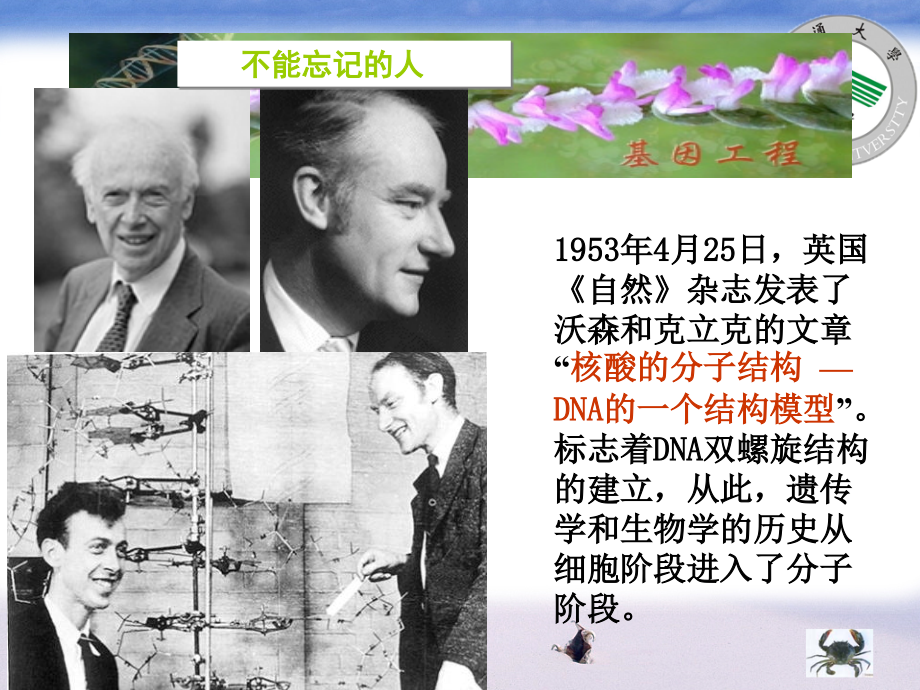 第2章基因工程药物.ppt_第2页
