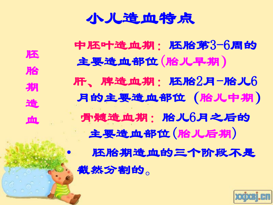 第九章--血液系统疾病患儿的护理.ppt_第2页
