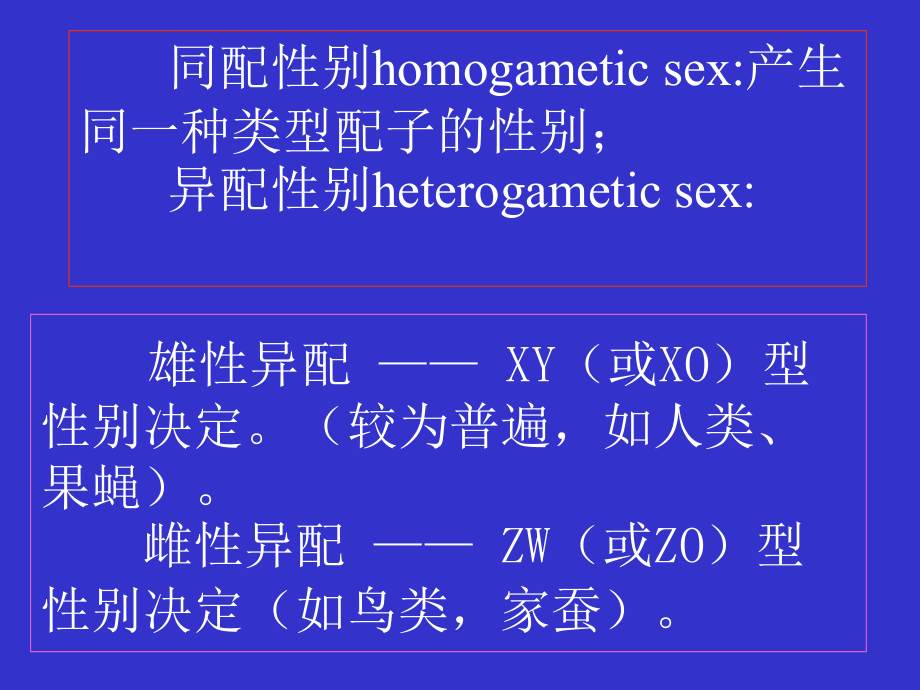 第三节--性别决定-与-伴性遗传.ppt_第2页