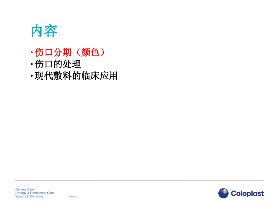 现代伤口敷料的应用.pptx_第2页