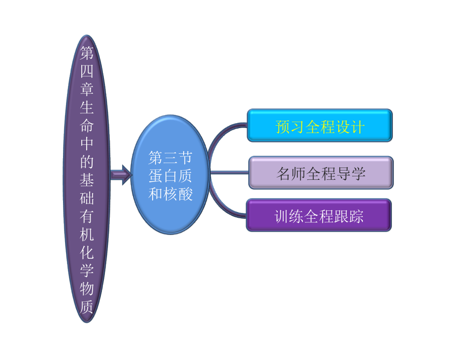 第四章--第三节--蛋白质和核酸.ppt_第1页