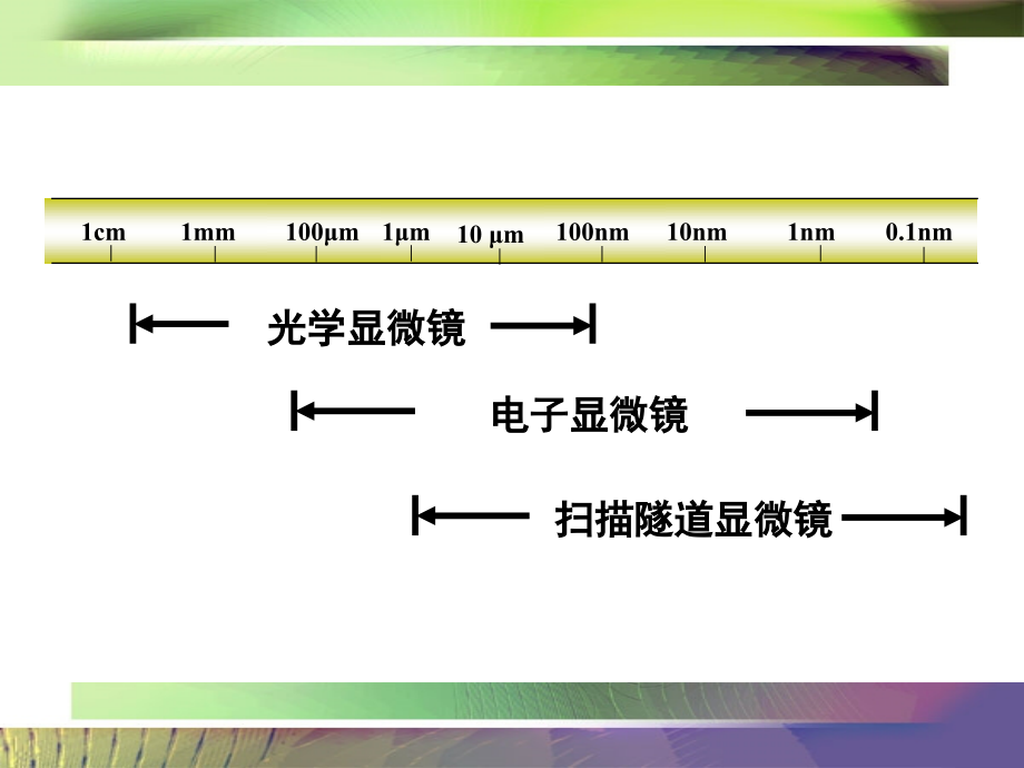 第三章-细胞生物学研究方法-1.ppt_第2页