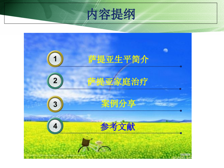 萨提亚家庭心理治疗.ppt_第2页