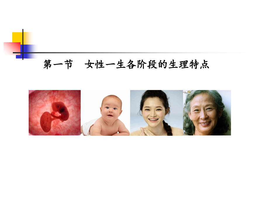 女性生殖内分泌基础知识及常见疾病的治疗.ppt_第1页
