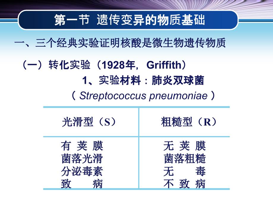 微生物学第七章-微生物遗传与变异.ppt_第2页