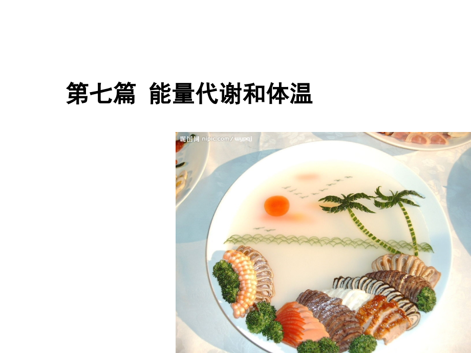 第七章-能量代谢.ppt_第1页
