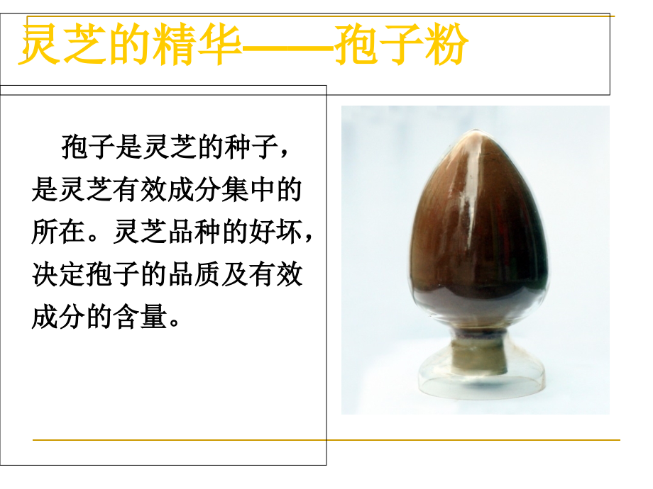 医学专家谈灵芝孢子粉.11.ppt_第2页