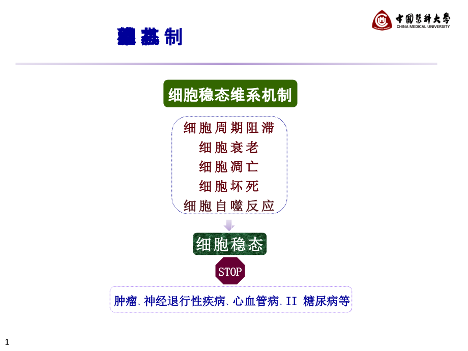 研究生讲座-细胞稳态与-1.ppt_第1页