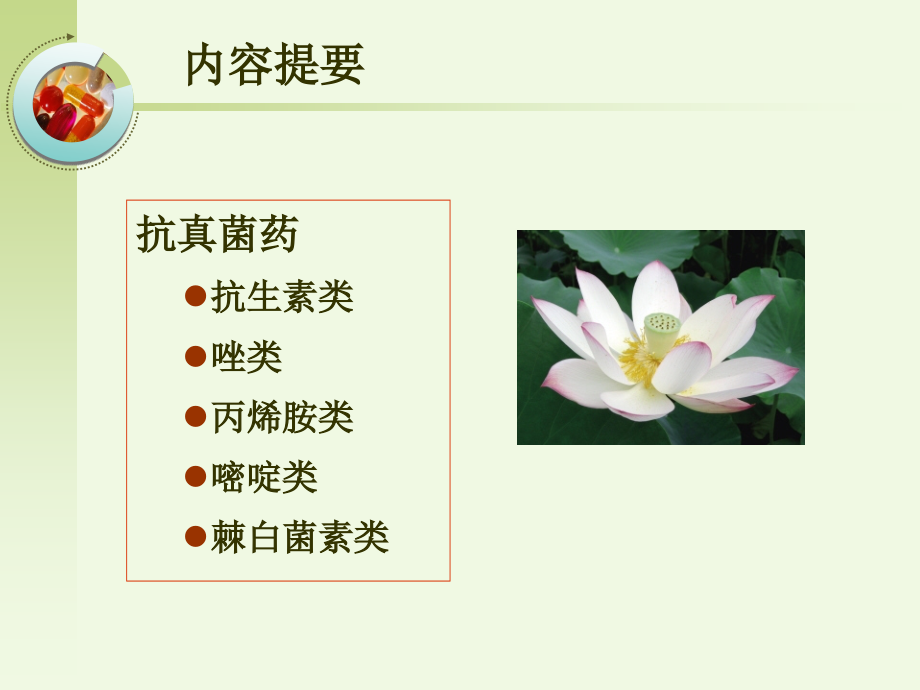 化疗药物第43章.ppt_第1页