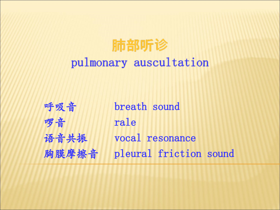 肺部听诊幻灯片.ppt_第1页