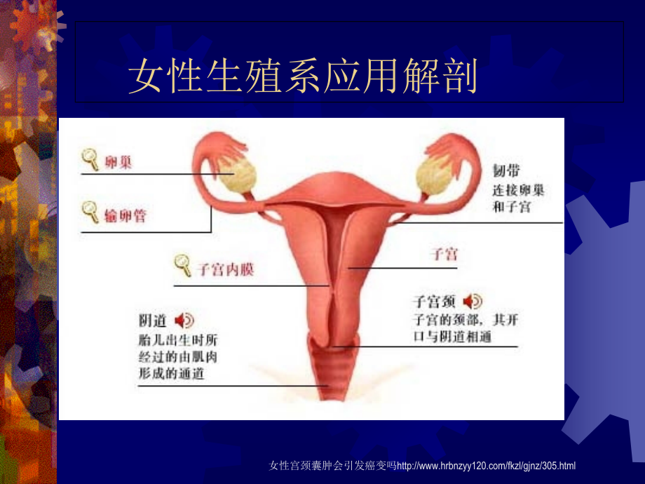 女性生殖系统放射诊断学知识.ppt_第2页