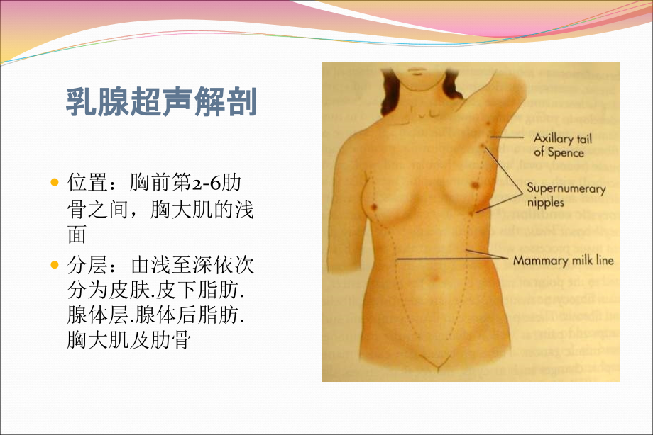 乳腺超声2015.10课件.ppt_第1页