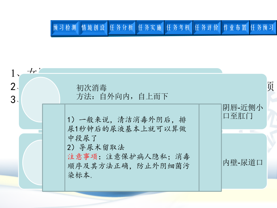女性导尿技术.pptx_第2页