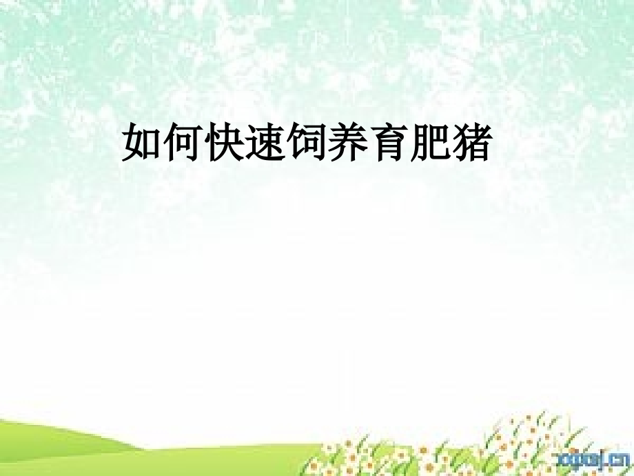 如何快速饲养育肥猪.ppt_第1页