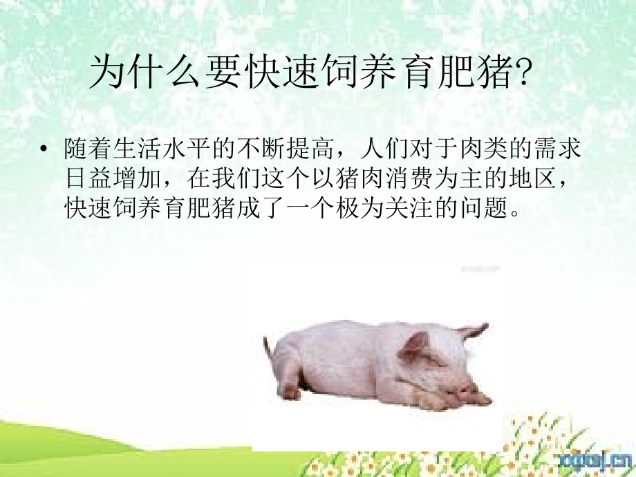如何快速饲养育肥猪.ppt_第2页