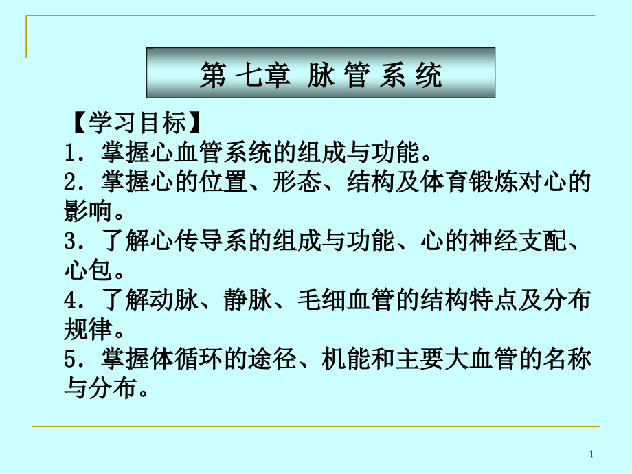 第七章脉管系统.ppt_第1页
