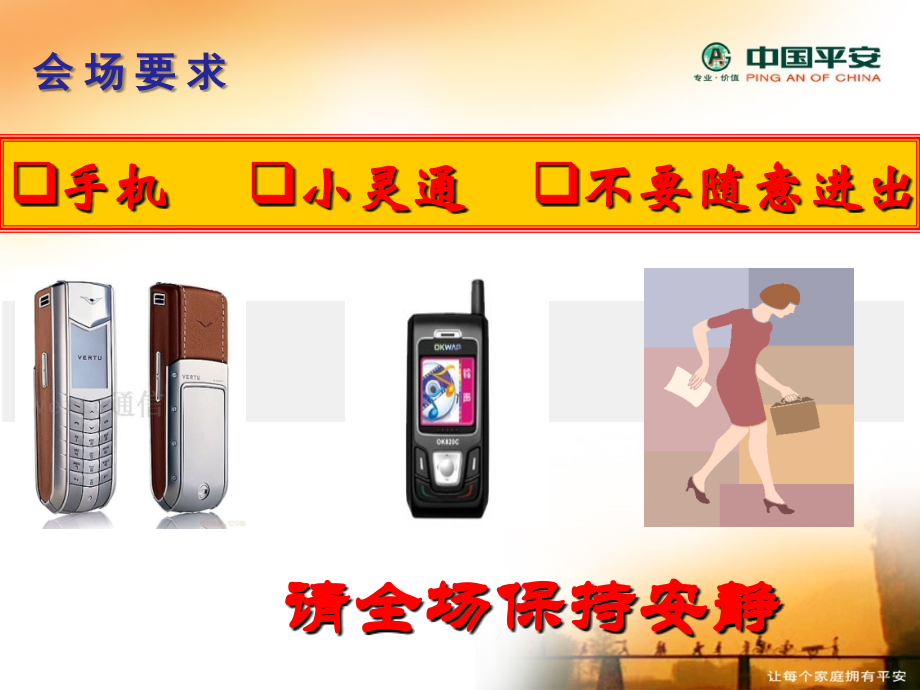 社保与商保知识讲座(养老专题)11.ppt_第2页