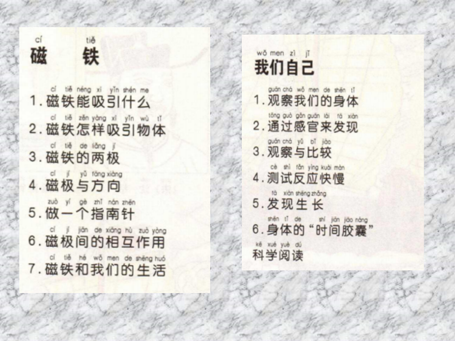新教科版二年级科学下册全册市公开课一等奖省赛课获奖课件.pptx_第2页