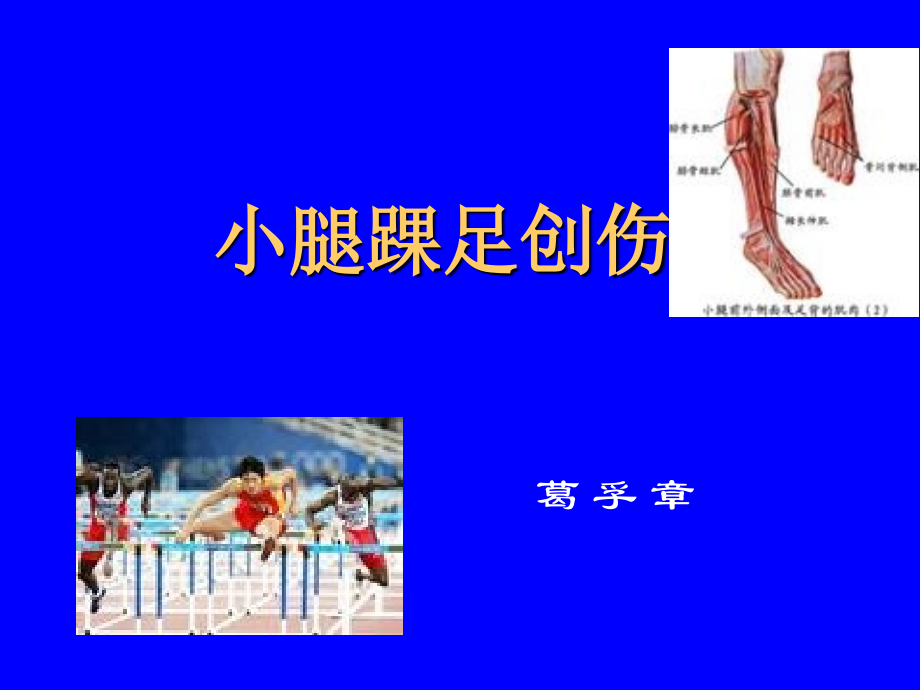 小腿足踝运动.ppt_第1页