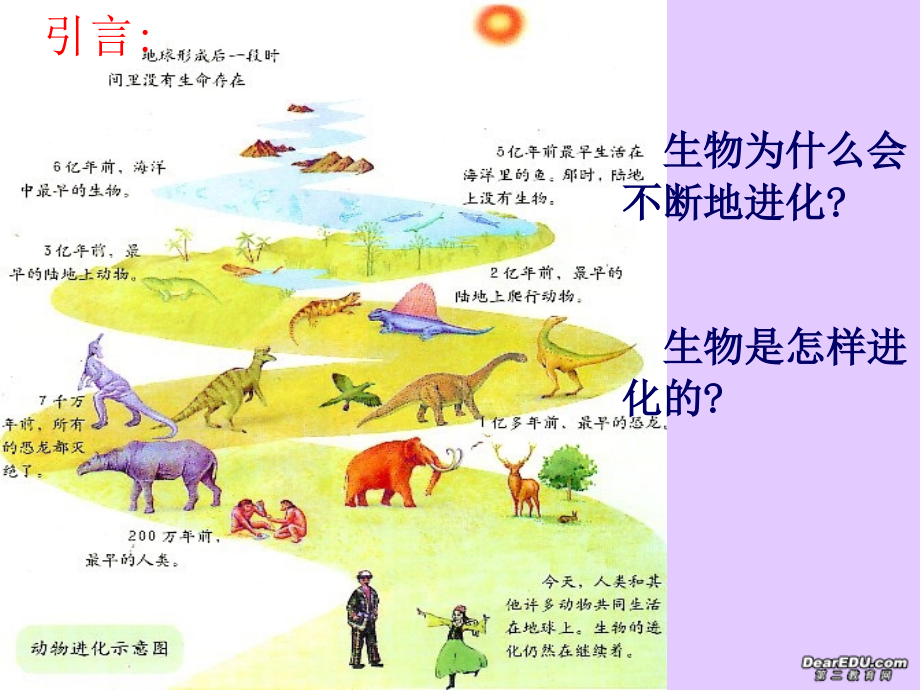 生物为什么会不断地进化？-生物是怎样进化的？.ppt_第1页
