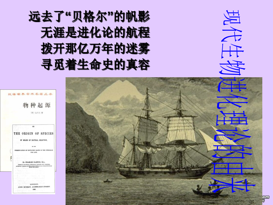 生物为什么会不断地进化？-生物是怎样进化的？.ppt_第2页