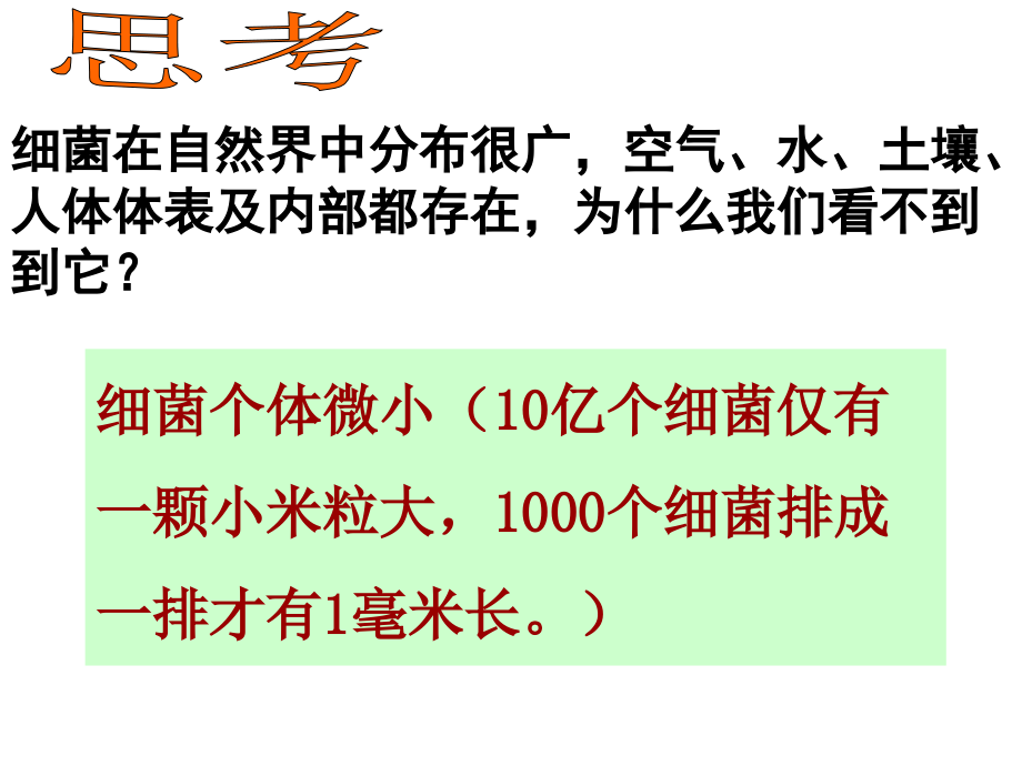 济南版生物细菌.ppt_第1页