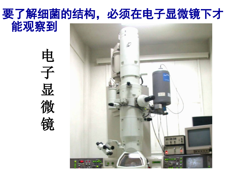 济南版生物细菌.ppt_第2页