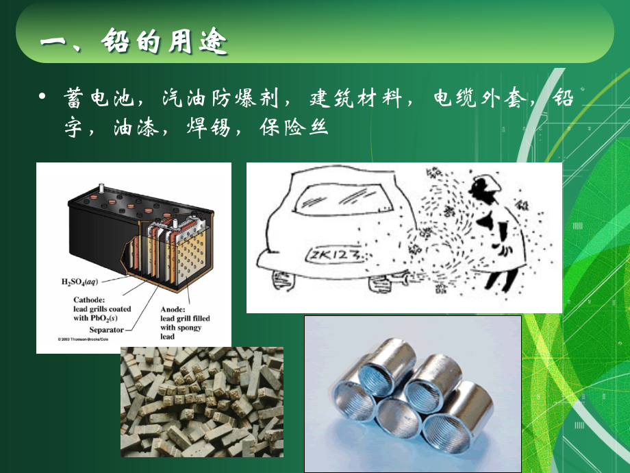 环境微量元素与人体健康-第六讲-第三章有害微量元素.ppt_第2页