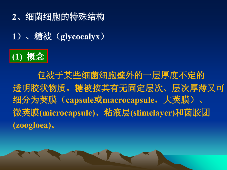 第一章原核微生物的形态结构2.ppt_第2页