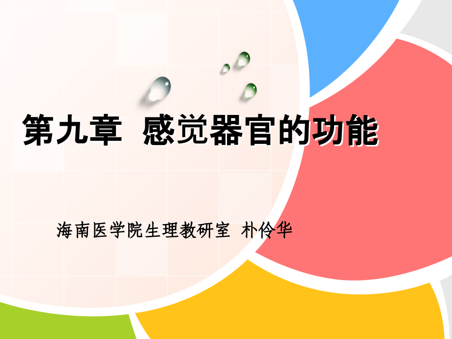 第九章--感觉器官.ppt_第1页