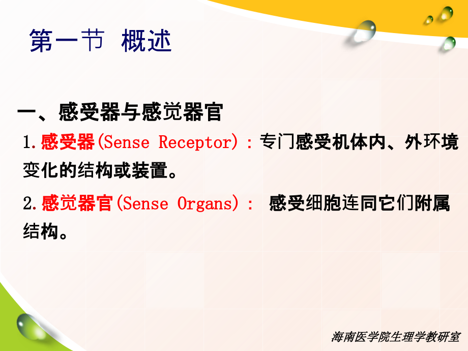 第九章--感觉器官.ppt_第2页