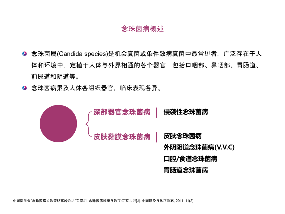 外阴阴道念珠菌感染指南进展讨论.ppt_第2页