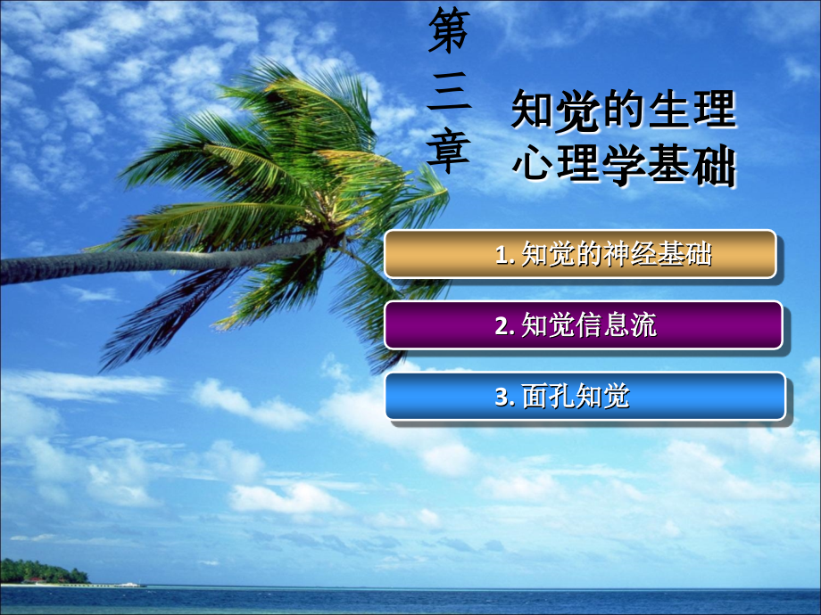 第三章-知觉(生理).ppt_第1页