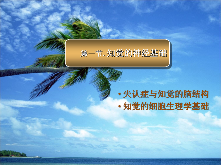 第三章-知觉(生理).ppt_第2页