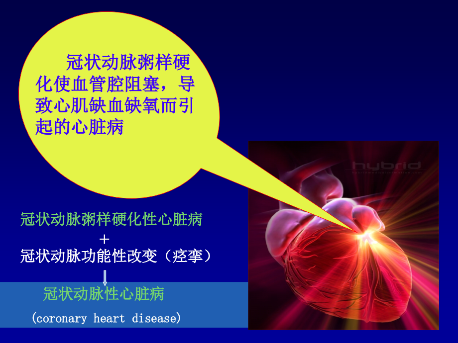 冠心病的药物治疗(定稿).ppt_第2页