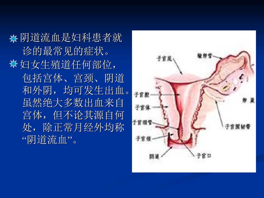 妇科阴道流血的相关疾病.ppt_第1页