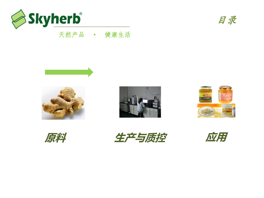生姜提取物及其应用.ppt_第1页