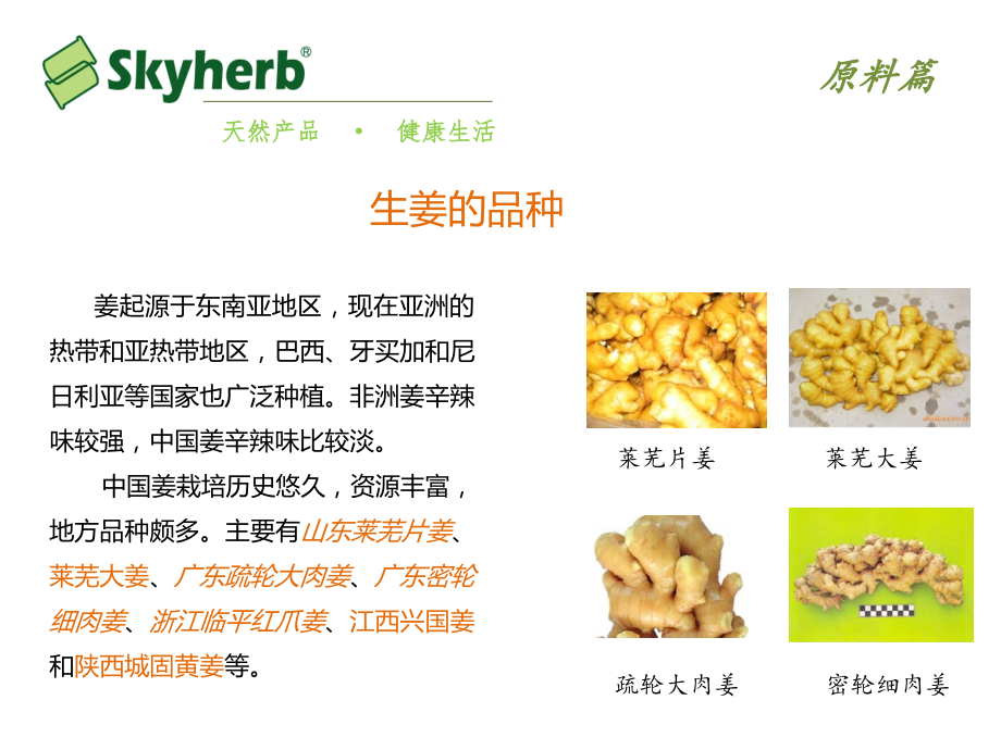 生姜提取物及其应用.ppt_第2页