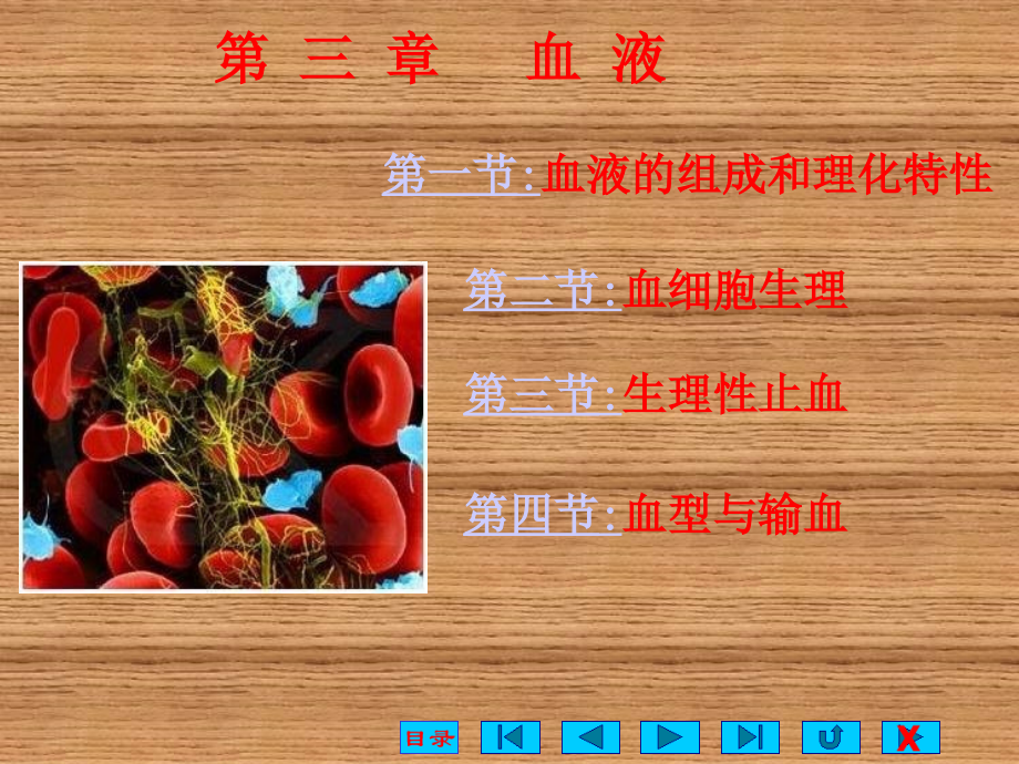 有关血液的基础知识.ppt_第1页