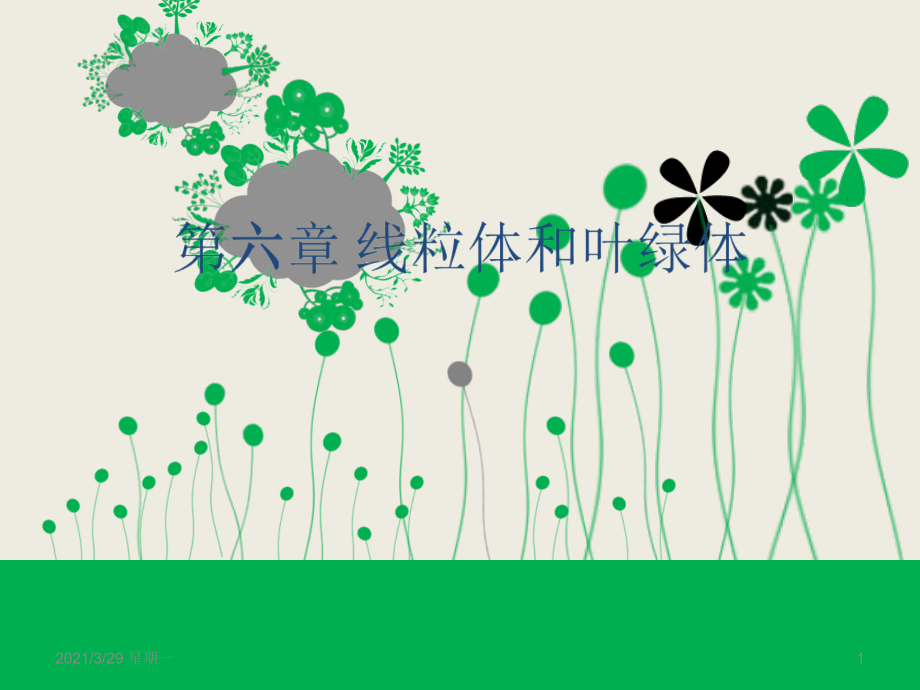 细胞生物学-线粒体和叶绿体.ppt_第1页