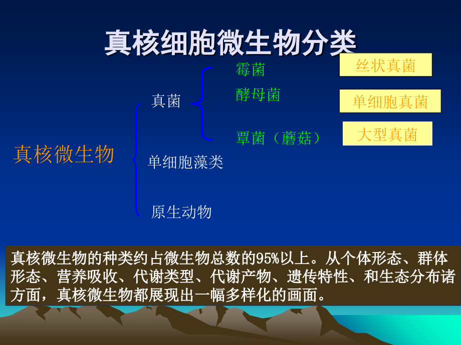 第一章-微生物的形态结构和基本类群-第二节-真核微生物.ppt_第2页