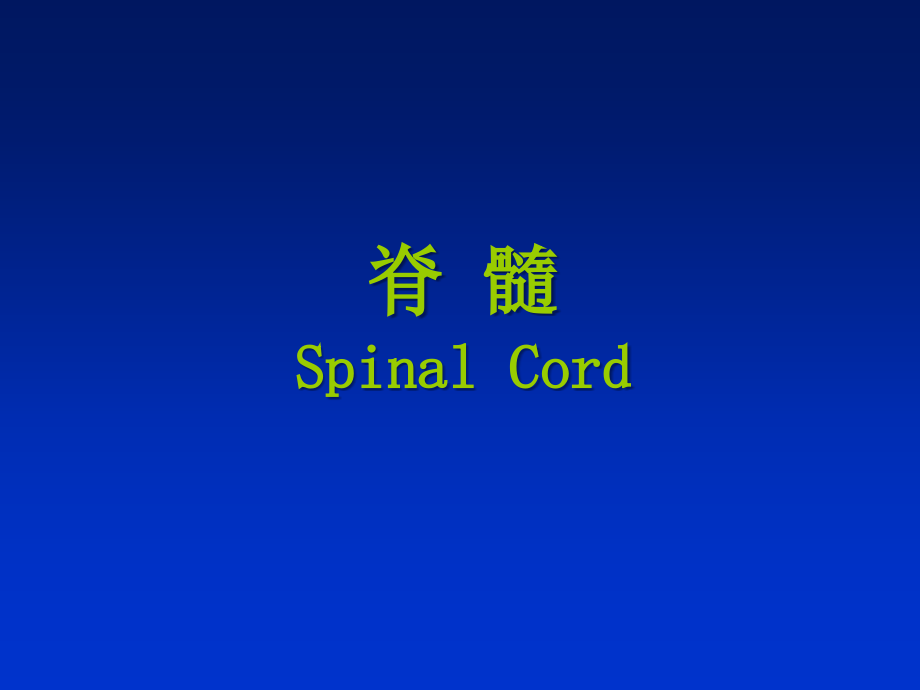 神经解剖精华版.ppt_第2页